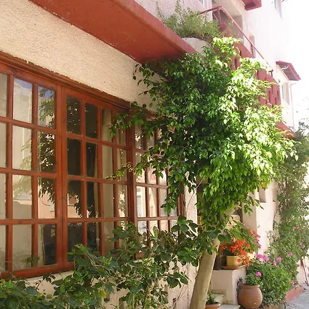Tina * Chania (Crete)