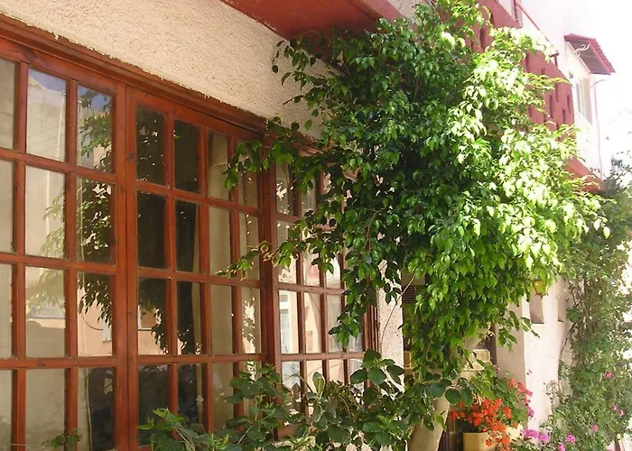 Tina * Chania (Crete)